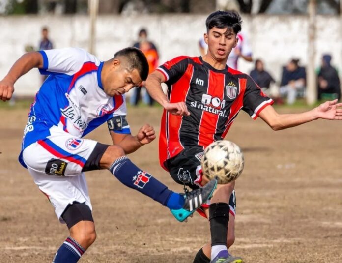 WhatsApp Image 2025-10-31 at 10.52.28